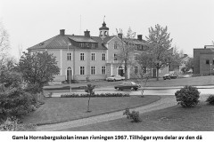 hornsberg19