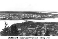 hornsberg24
